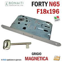 Carica l'immagine nel visualizzatore di Gallery, SERRATURA PER PORTA BONAITI F18X196 Modello N65 CHIAVE PATENT GRIGIO VERNICIATO Entrata 50 Interasse 90 GRIGIA ARGENTO FORTY frontale 196mm 19,6cm LINGUETTA GRIGIA SCROCCO GRIGIO