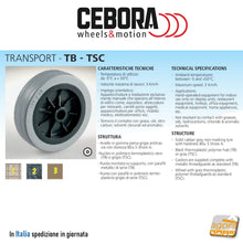 Carica l'immagine nel visualizzatore di Gallery, Ruota per carrelli ruota carrello girevole perno filettato metrico M10x25mm zincata cromata gomma grigia antimacchia antitraccia CEBORA cuscinetti Transport TBF Diametro 60 80 100 125  con freno senza freno totale ruota gomma morbida
