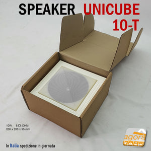 Next Two Unicube -6T Cabinet Loudspeaker - In-Wall Or In-Ceiling